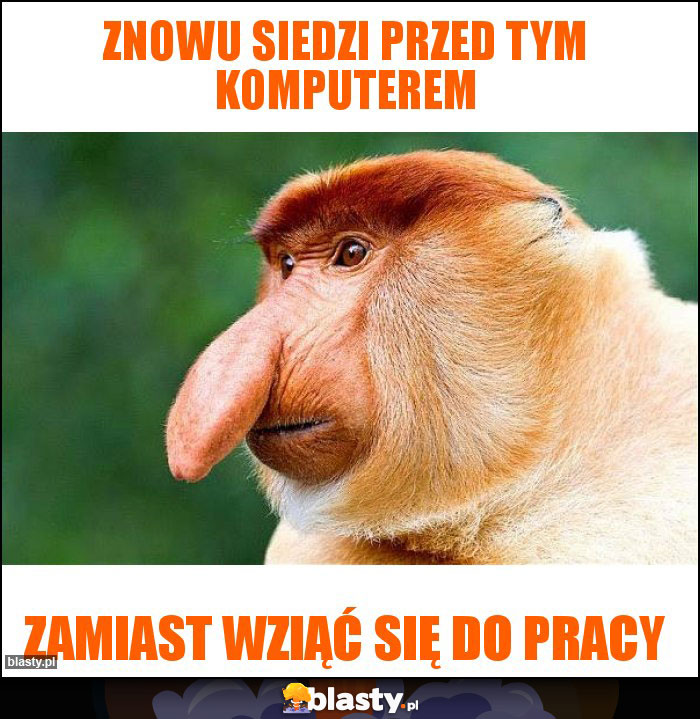 Znowu siedzi przed tym komputerem Znowu siedzi przed tym komputerem
