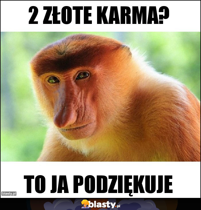 2 złote karma? 2 złote karma?