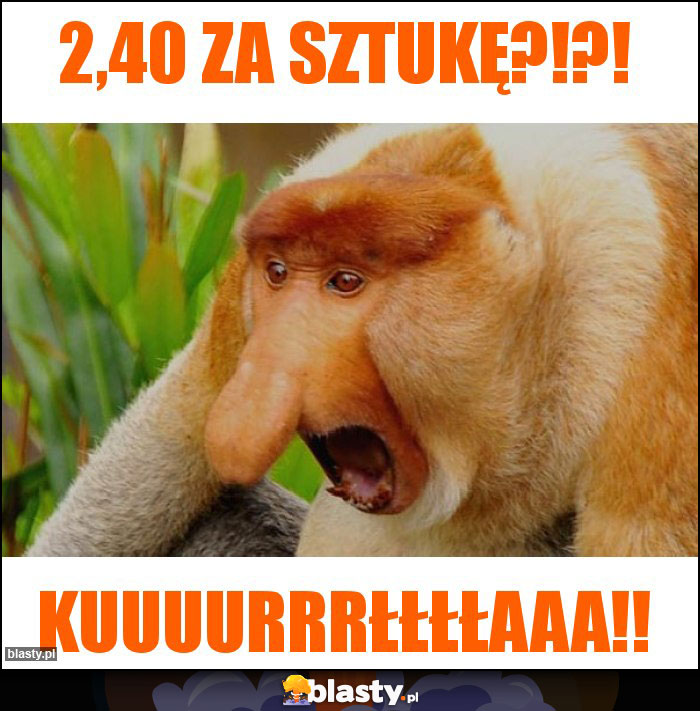 2,40 za sztukę?!?!