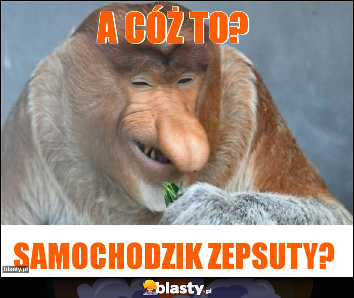 A cóż to?