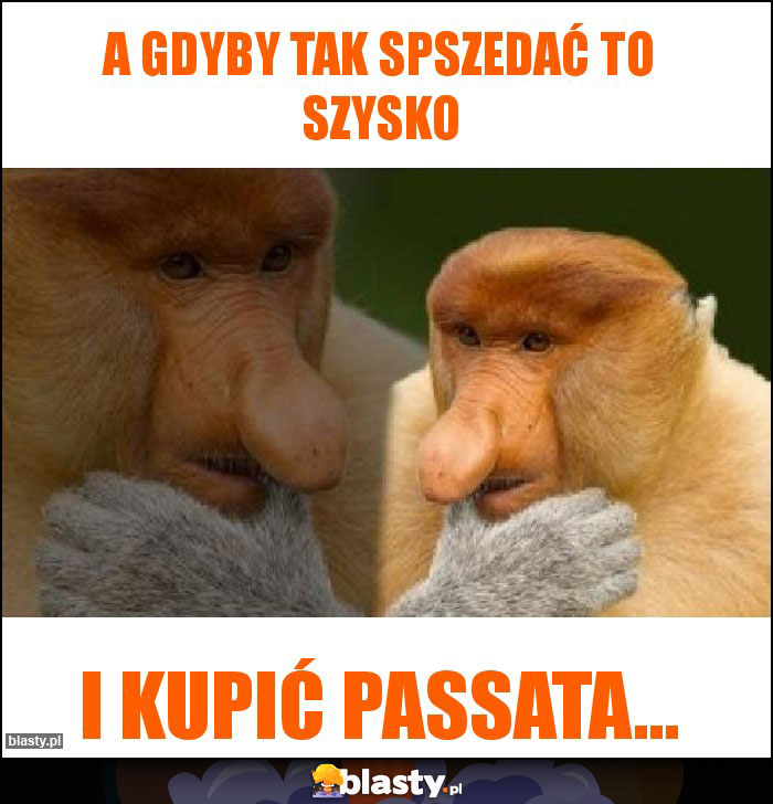 a gdyby tak spszedać to szysko a gdyby tak spszedać to szysko