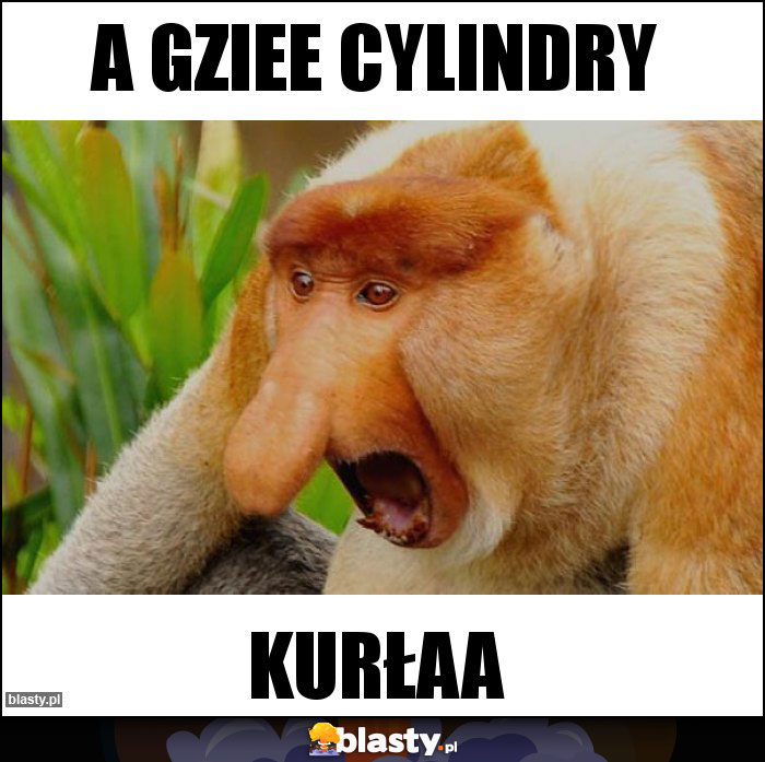 A gziee cylindry A gziee cylindry