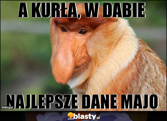 A KURŁA, W DABIE