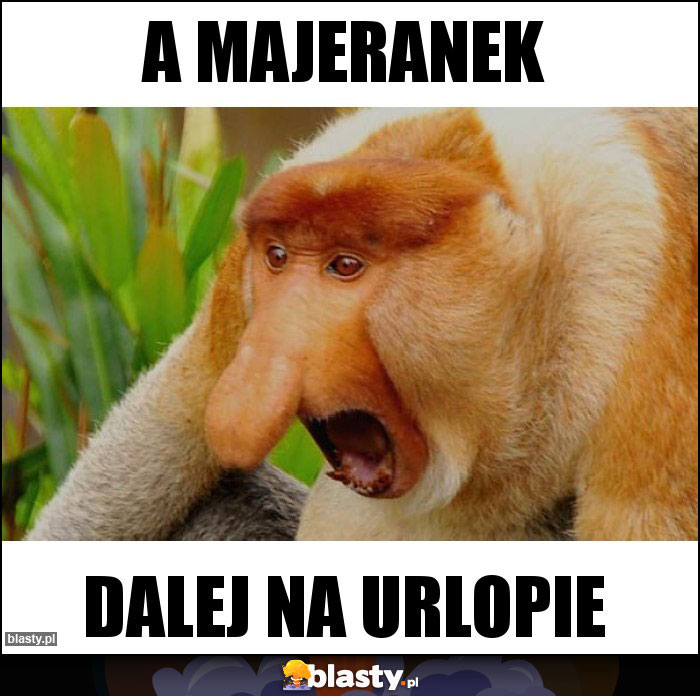 A MAJERANEK A MAJERANEK