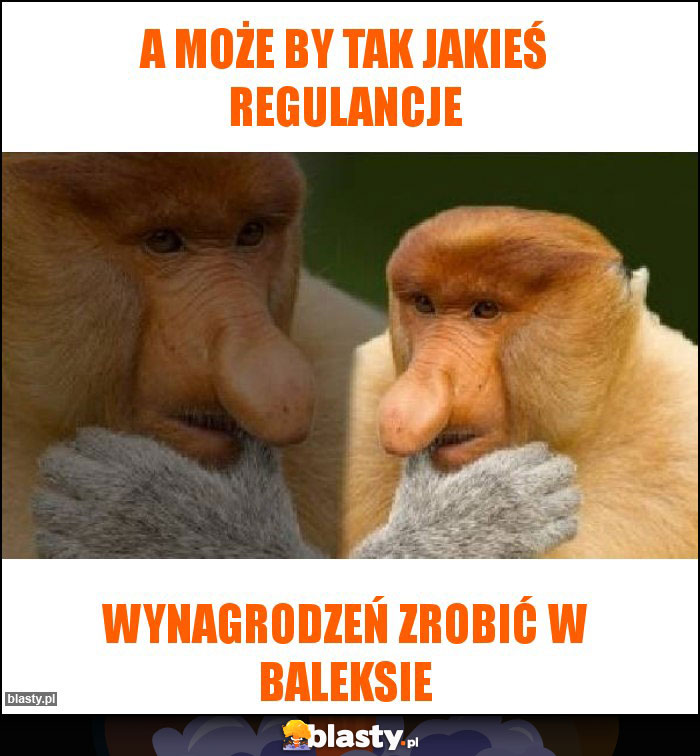 A może by tak jakieś regulancje A może by tak jakieś regulancje