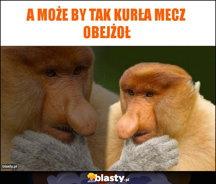 A może by tak kurła mecz obejżoł A może by tak kurła mecz obejżoł