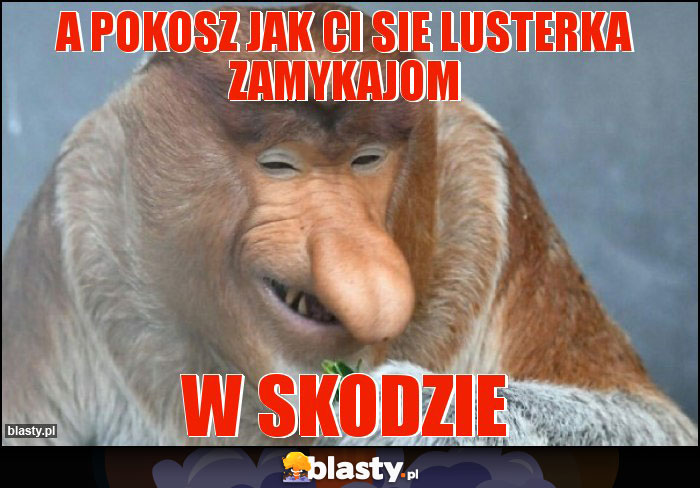 a pokosz jak ci sie lusterka zamykajom a pokosz jak ci sie lusterka zamykajom
