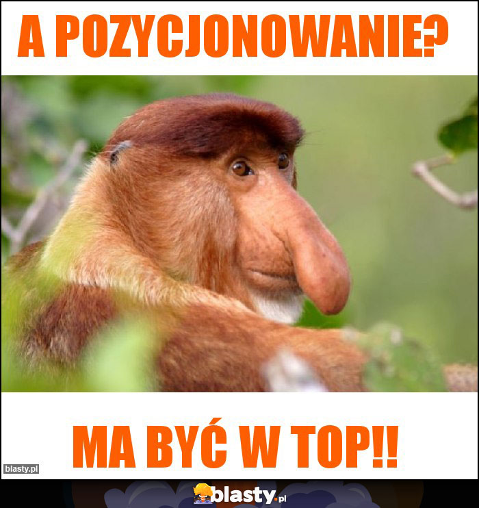 A pozycjonowanie? A pozycjonowanie?