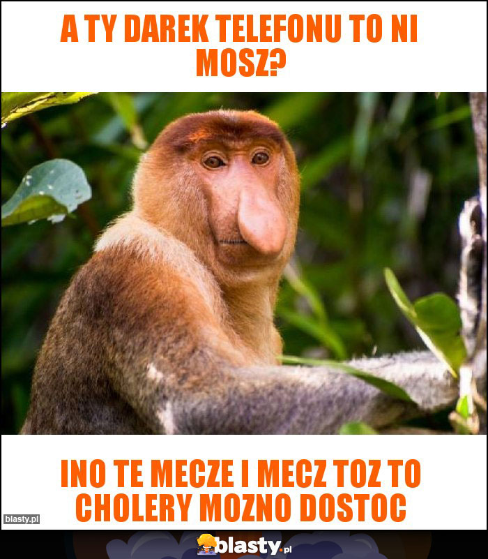 A Ty Darek telefonu to ni mosz? A Ty Darek telefonu to ni mosz?
