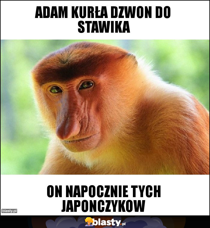 Adam kurła dzwon do Stawika Adam kurła dzwon do Stawika