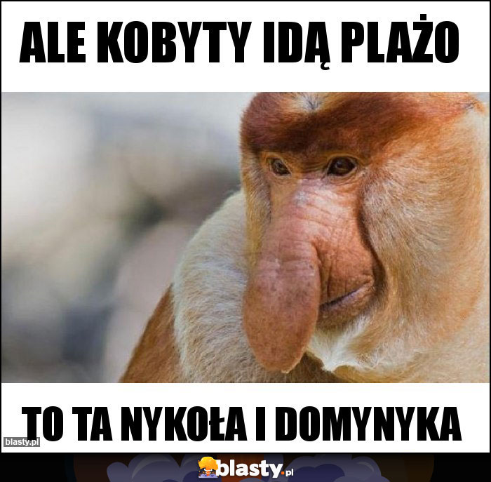 ALE KOBYTY IDĄ PLAŻO ALE KOBYTY IDĄ PLAŻO