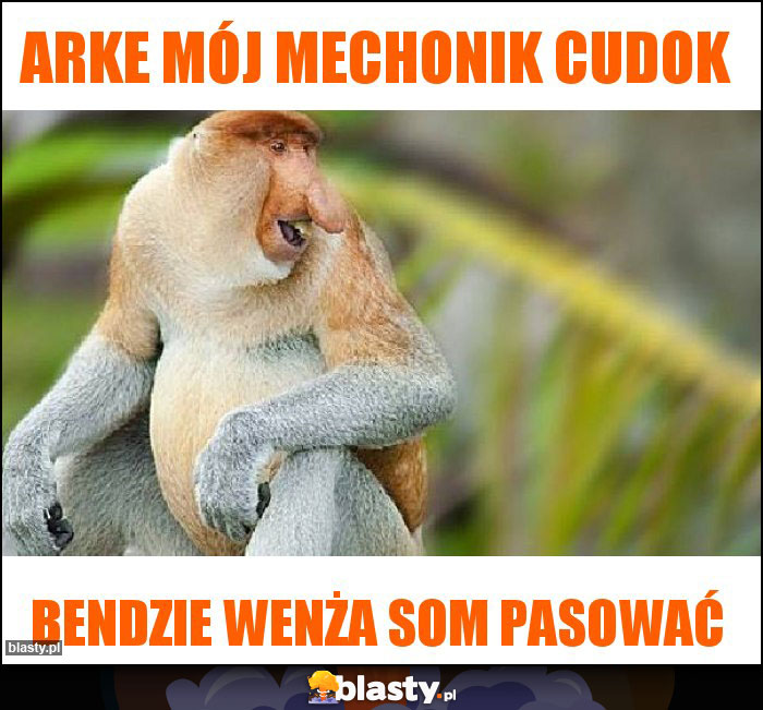 Arke mój mechonik cudok Arke mój mechonik cudok