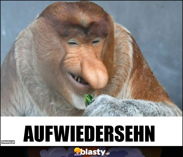 Aufwiedersehn