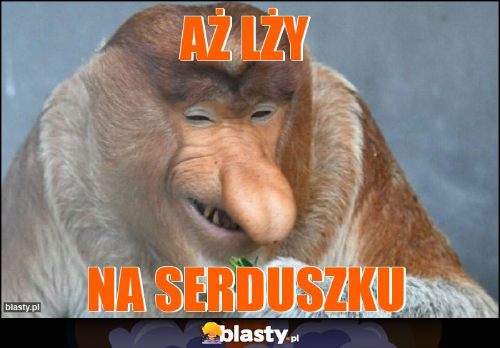Aż lży
