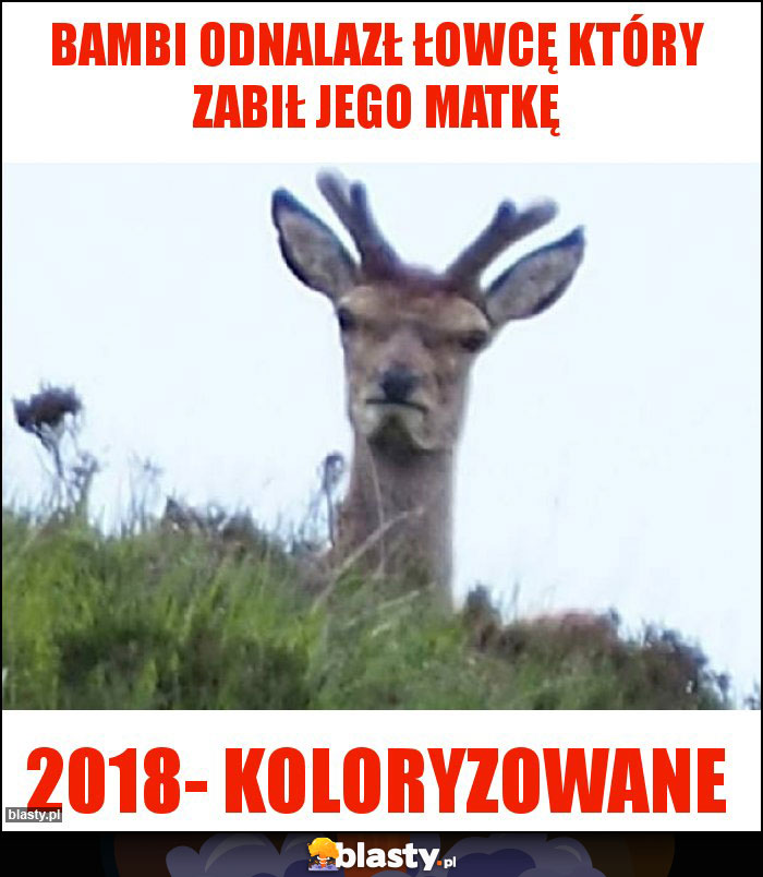 Bambi odnalazł łowcę który zabił jego matkę