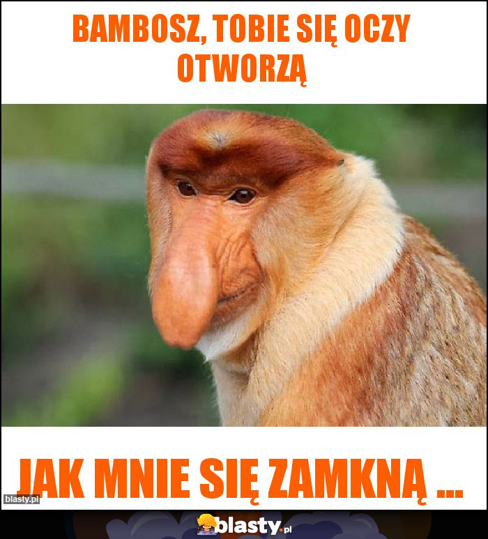 Bambosz, tobie się oczy otworzą Bambosz, tobie się oczy otworzą