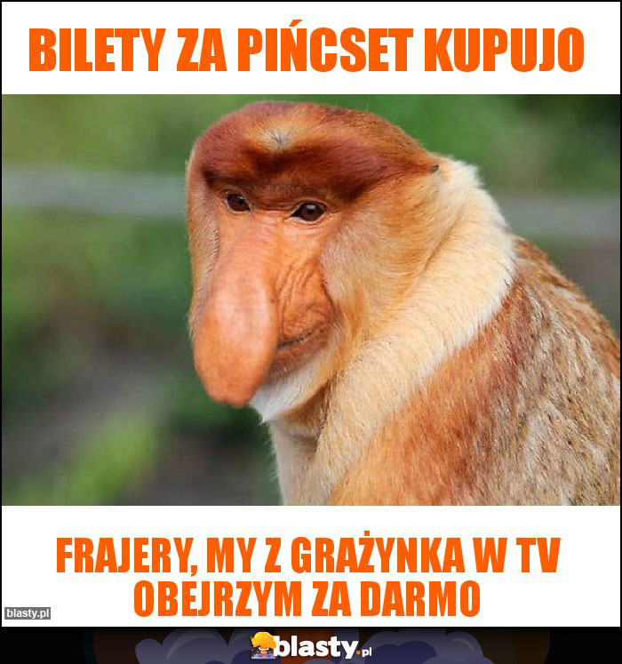 Bilety za pińcset kupujo