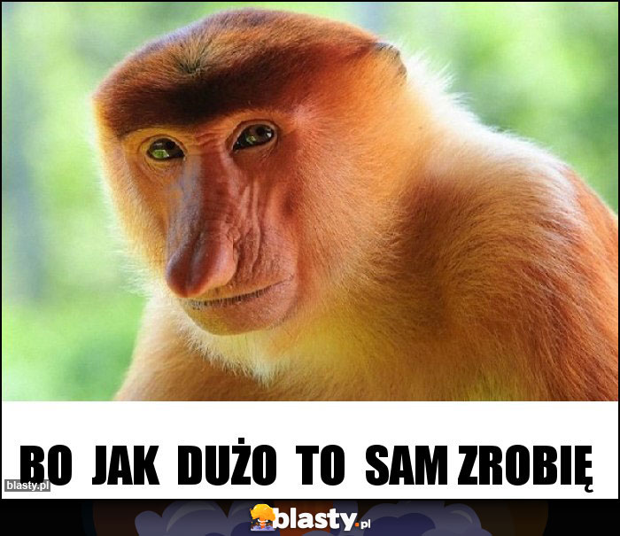 Bo jak dużo to sam zrobię Bo jak dużo to sam zrobię