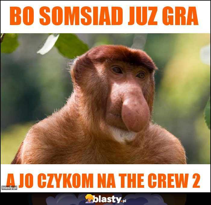 Bo SOMSIAD JUZ GRA Bo SOMSIAD JUZ GRA