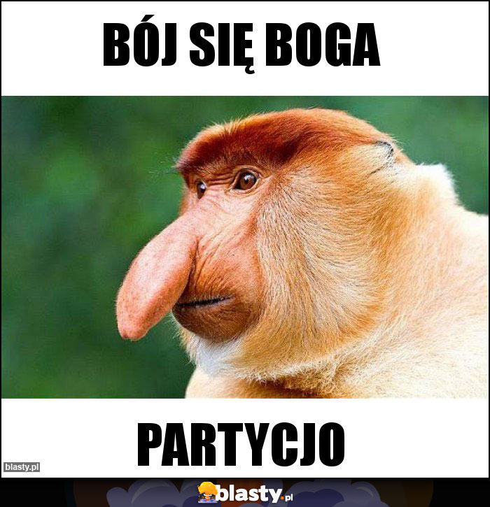 Bój się boga Bój się boga