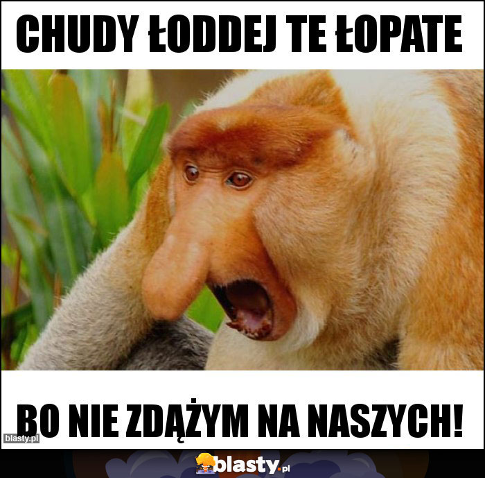 Chudy łoddej te łopate Chudy łoddej te łopate