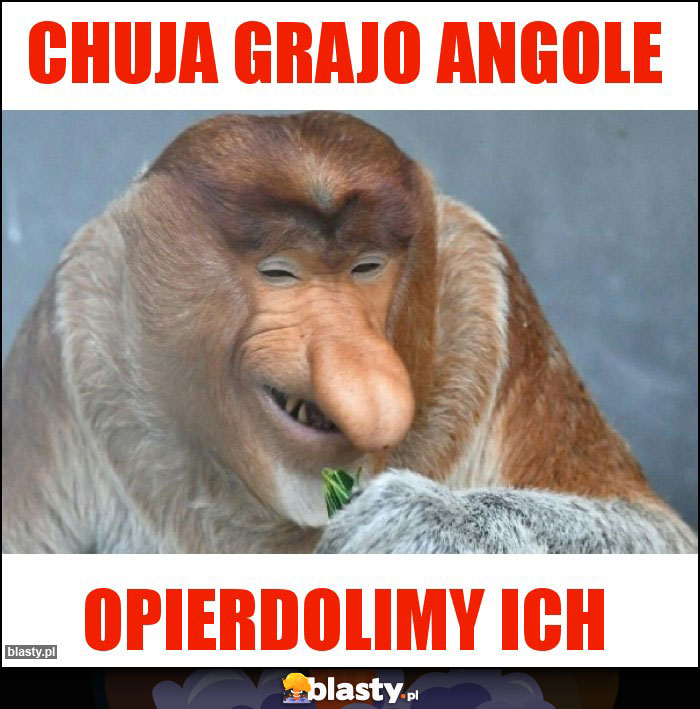 CHUJA GRAJO ANGOLE CHUJA GRAJO ANGOLE