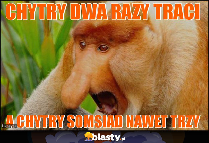 chytry dwa razy traci chytry dwa razy traci