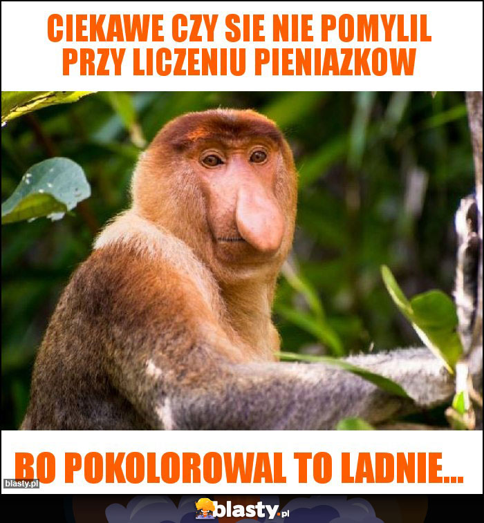 Ciekawe czy sie nie pomylil przy liczeniu pieniazkow Ciekawe czy sie nie pomylil przy liczeniu pieniazkow