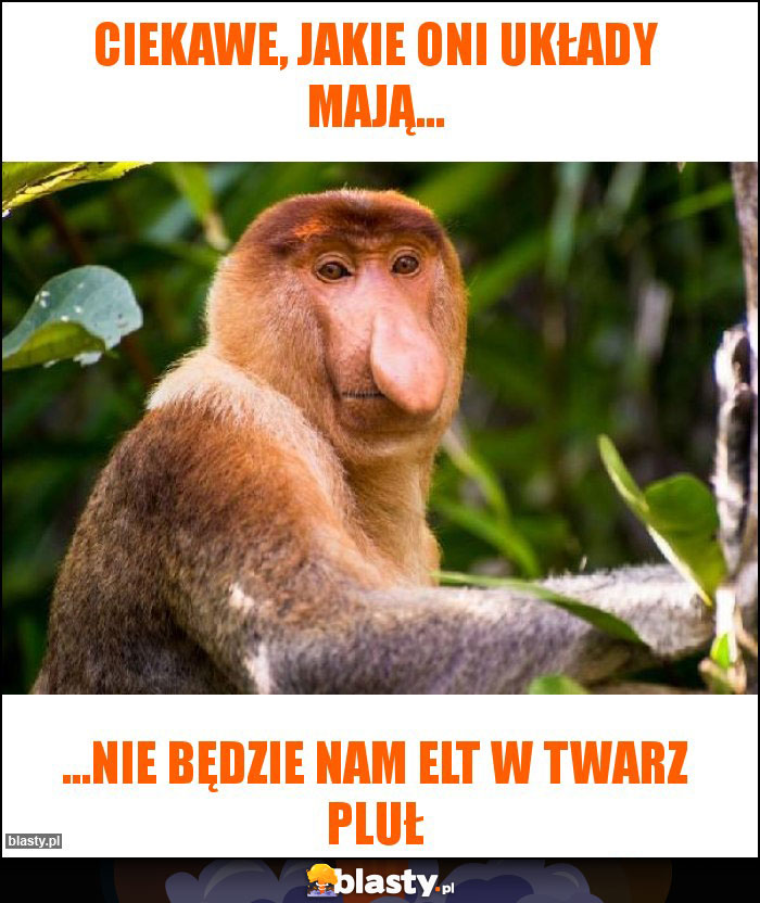 Ciekawe, jakie oni układy mają... Ciekawe, jakie oni układy mają...