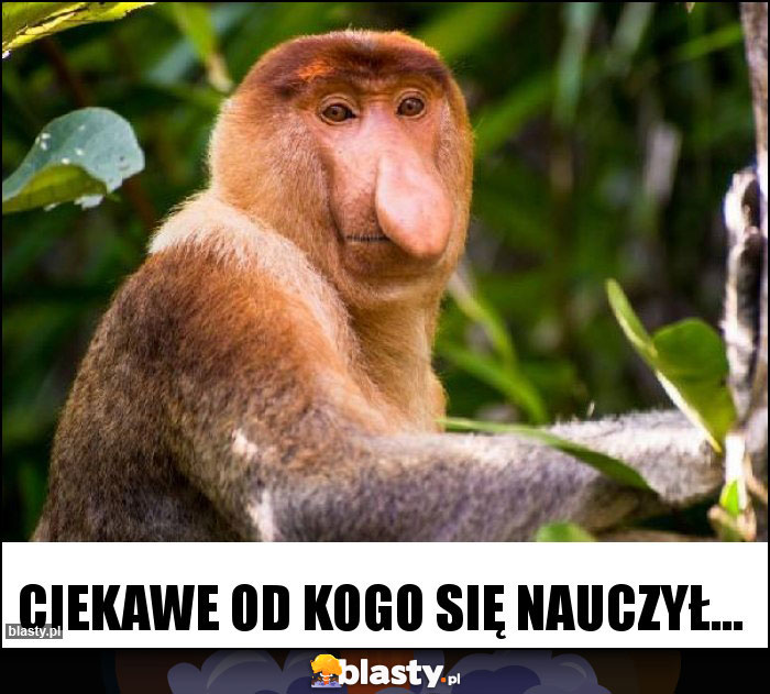 Ciekawe od kogo się nauczył... Ciekawe od kogo się nauczył...