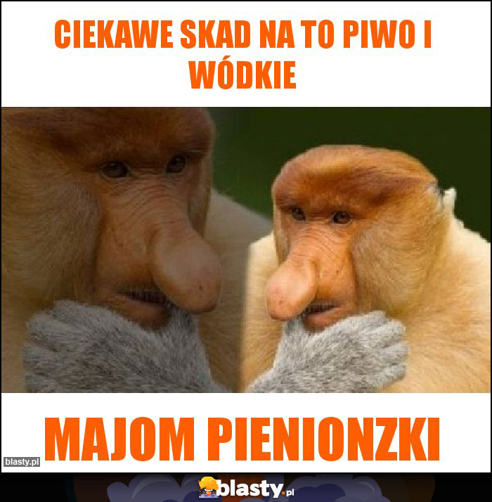 Ciekawe skad na to piwo i wódkie Ciekawe skad na to piwo i wódkie