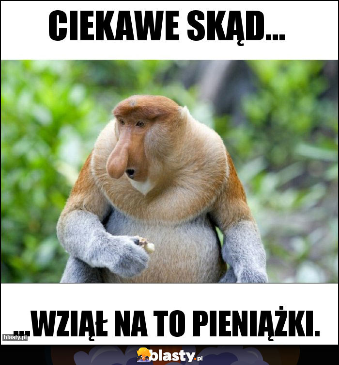 Ciekawe skąd...