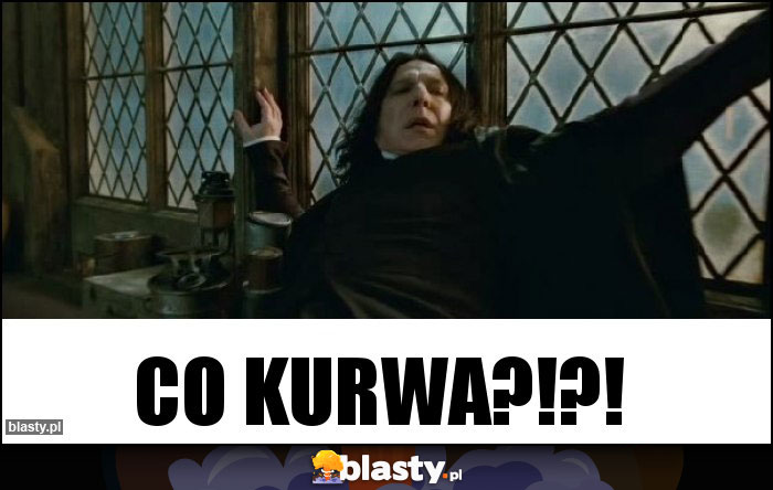 Co kurwa?!?! Co kurwa?!?!