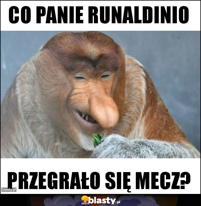 Co panie runaldinio Co panie runaldinio