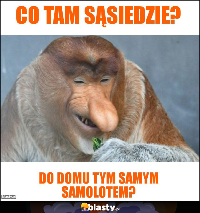 Co tam sąsiedzie? Co tam sąsiedzie?