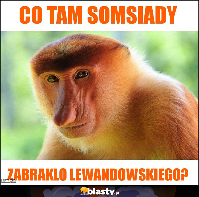 co tam somsiady