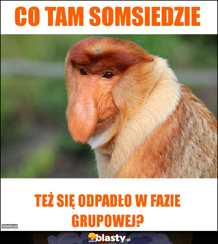 Co tam somsiedzie Co tam somsiedzie