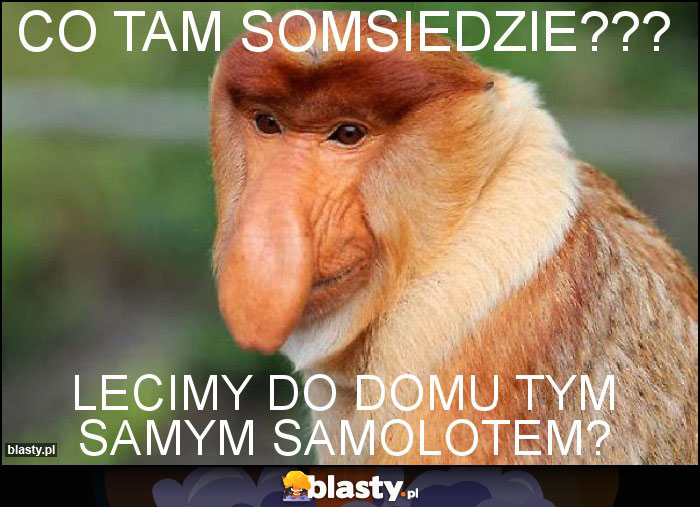 Co tam somsiedzie??? Co tam somsiedzie???