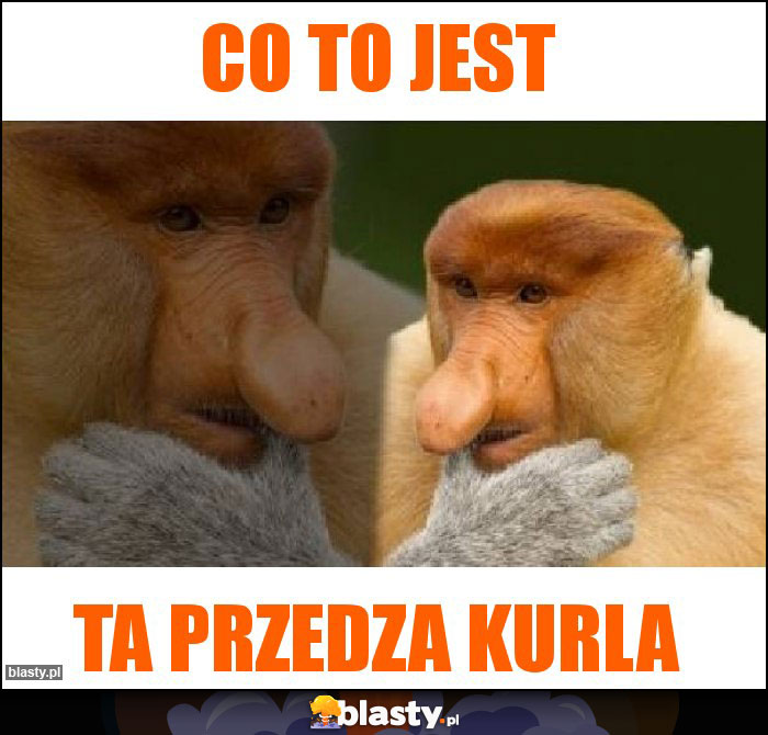 CO to jest CO to jest