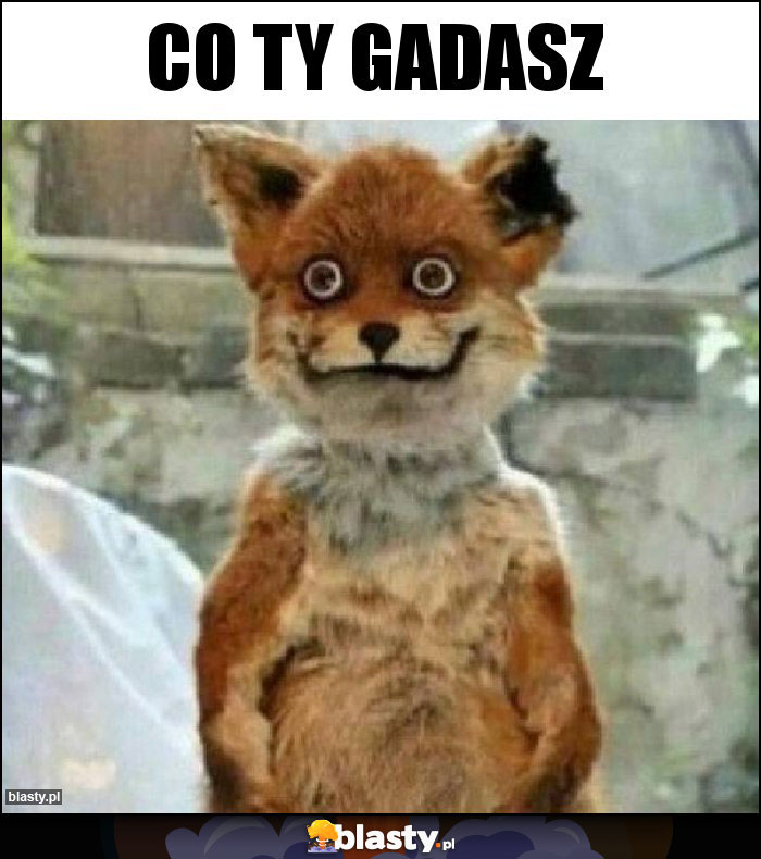 śmieszne Obrazki Z Liter I Znaków Co Ty gadasz memy, gify i śmieszne obrazki facebook, tapety