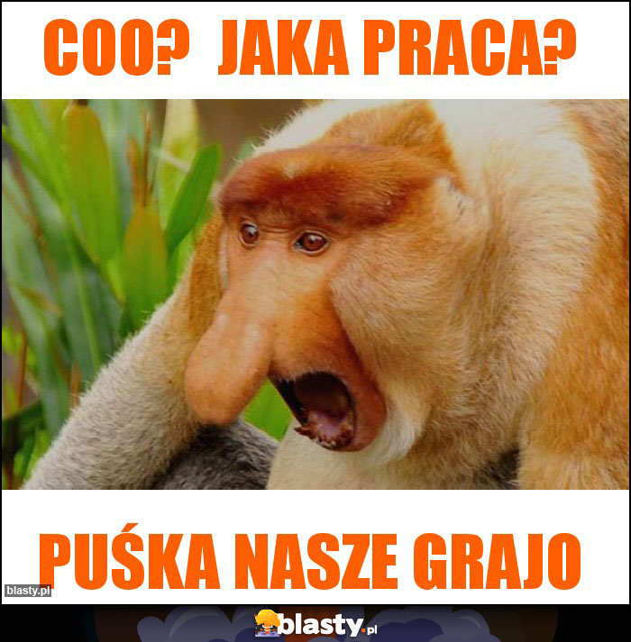 Coo? Jaka praca? Coo? Jaka praca?