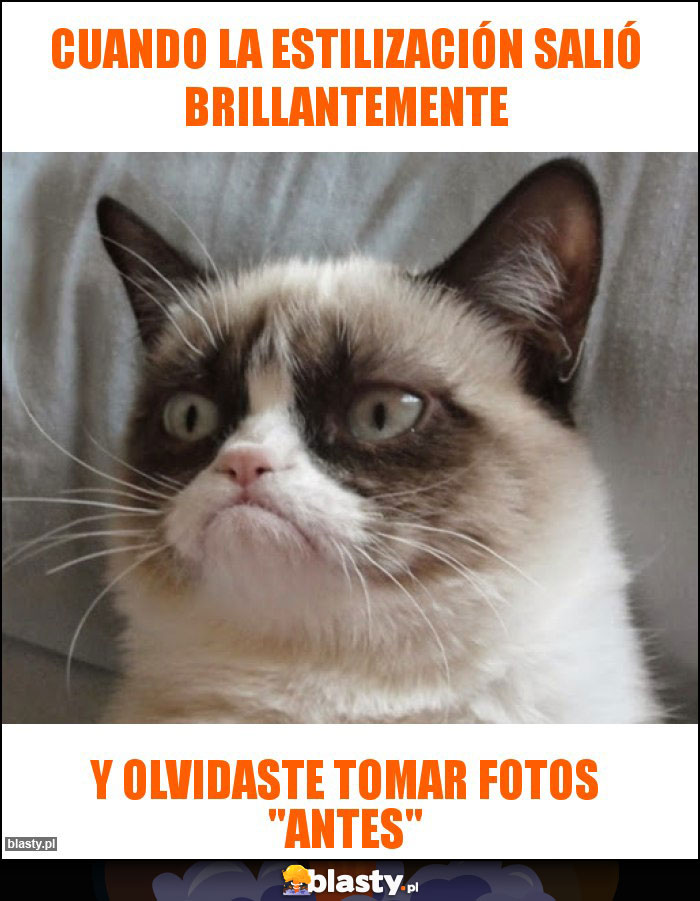 cuando la estilización salió brillantemente cuando la estilización salió brillantemente