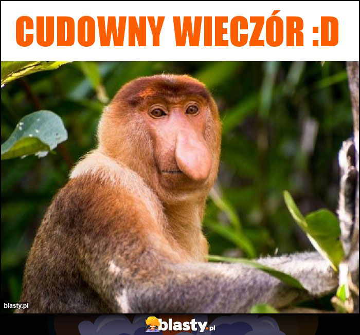 Cudowny wieczór :D Cudowny wieczór :D