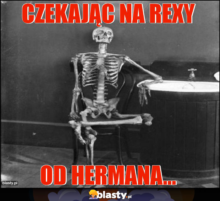 czekając na rexy czekając na rexy