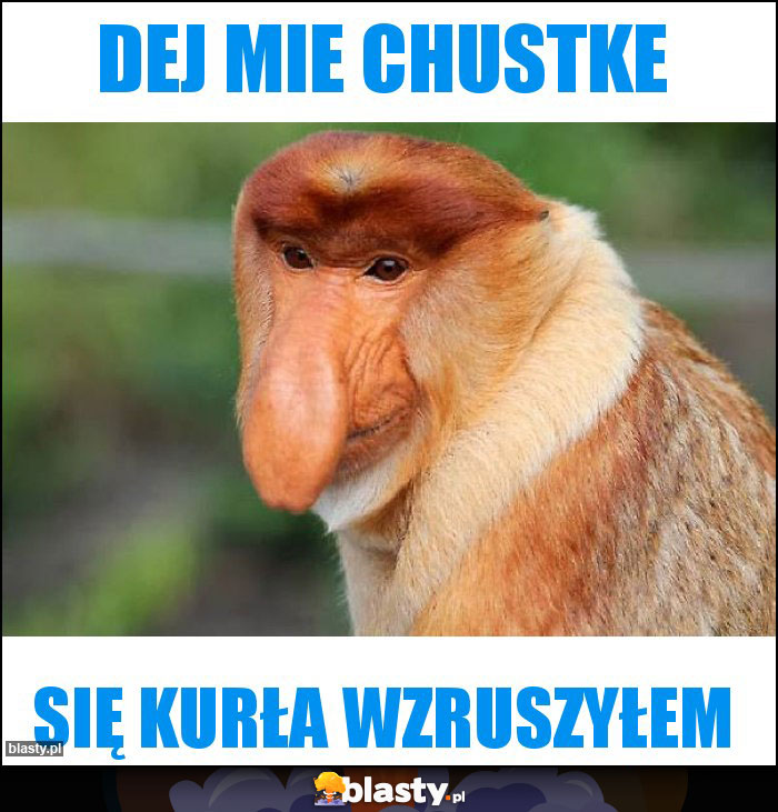 Dej mie chustke Dej mie chustke