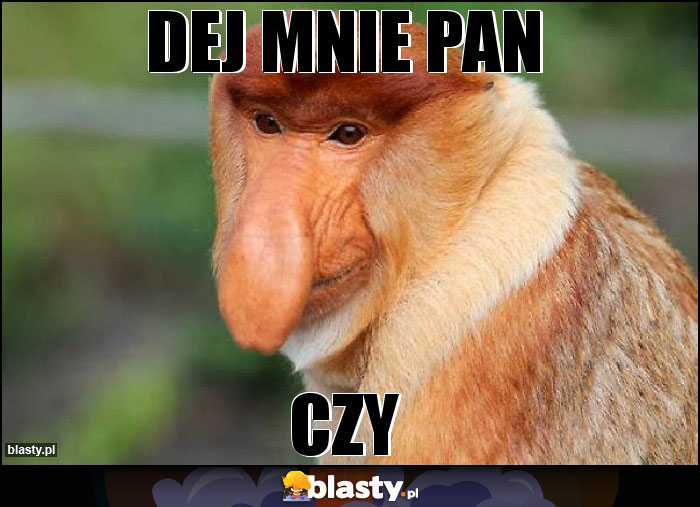 Dej mnie Pan Dej mnie Pan