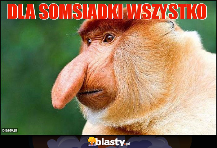 Dla somsiadki wszystko Dla somsiadki wszystko
