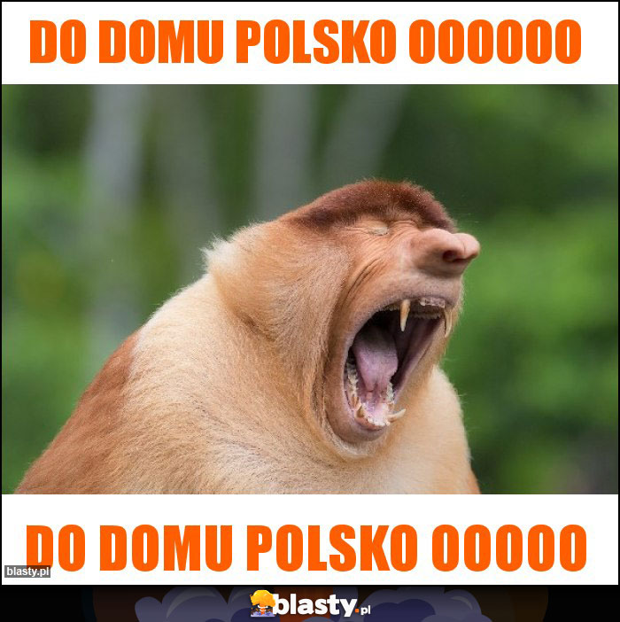 Do domu Polsko oooooo Do domu Polsko oooooo