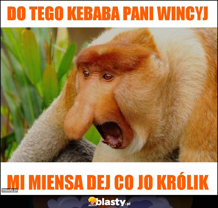 Do tego kebaba pani wincyj Do tego kebaba pani wincyj