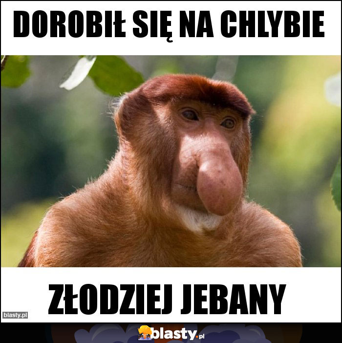 Dorobił się na chlybie Dorobił się na chlybie
